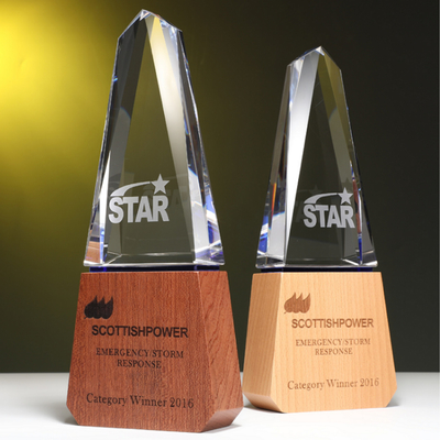 Cá nhân hóa tùy chỉnh nhựa Trophy kết hợp tinh thể và gỗ rắn Trophy
